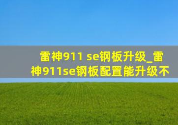 雷神911 se钢板升级_雷神911se钢板配置能升级不